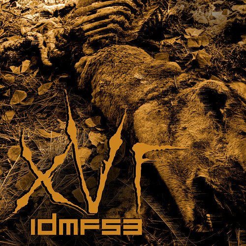 XVF_IDMF53_carcass