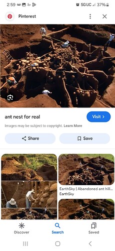 Screenshot_20250521_025912_Google