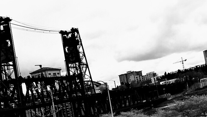 IMG_20190414_123113791_HDR~2