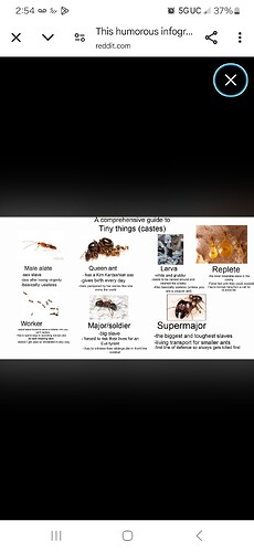 Screenshot_20250521_025447_Chrome