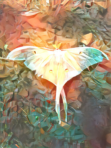 85d4cf70096cfd998c009fa8cd1e10d99ce37818