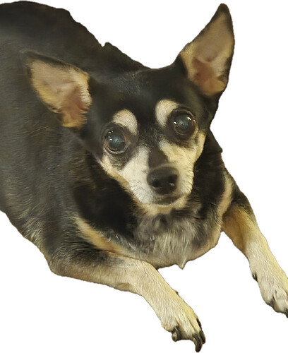 Mia