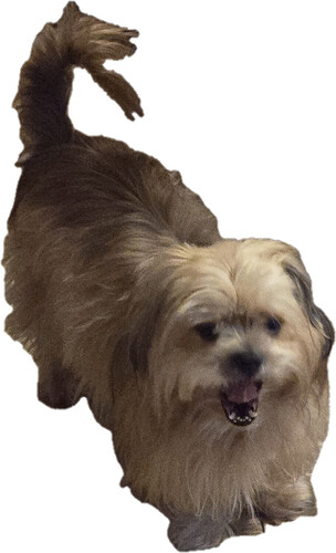 Gus
