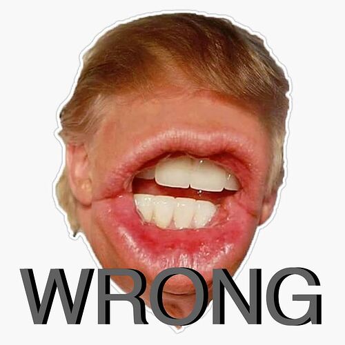 51ugsfHr-dL.UF894,1000_QL80