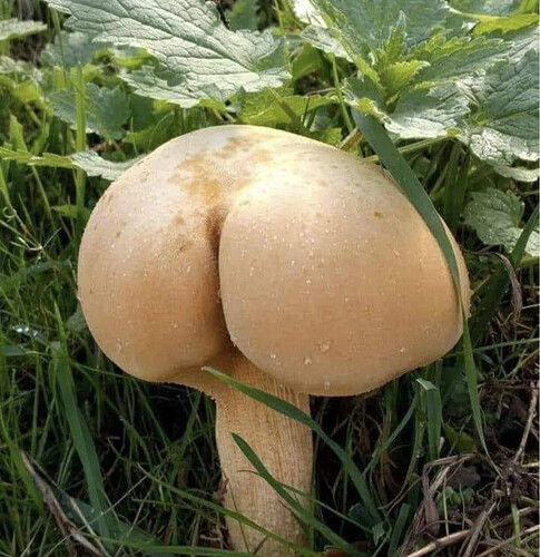 Screenshot_20251225-101040.Google~2