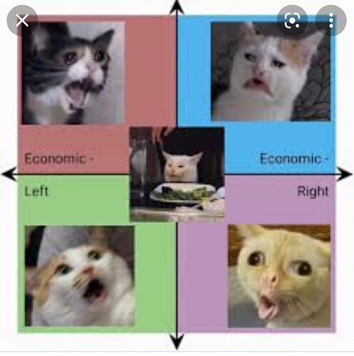 Screenshot_20220305-084313_Google