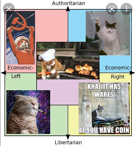 Screenshot_20220305-084520_Google