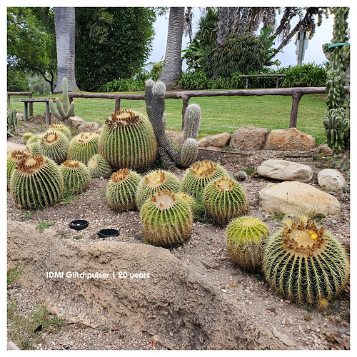 IDMf_20years_resized