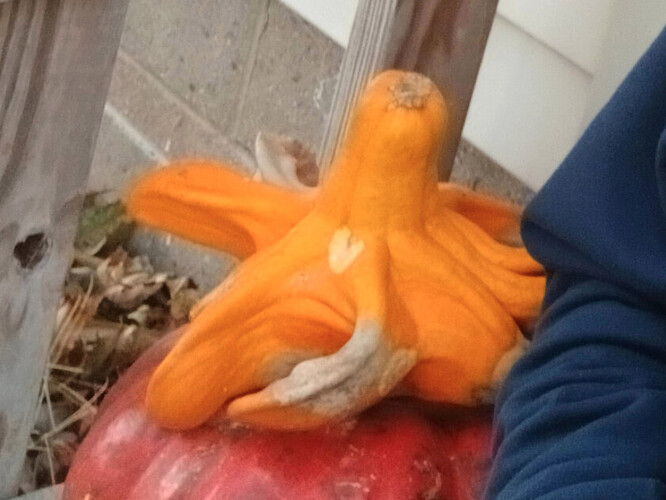 Screenshot 2025-11-02 at 10.58.52 AM