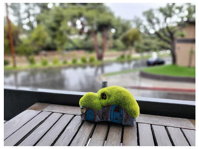 IDMf_20years_back_resized