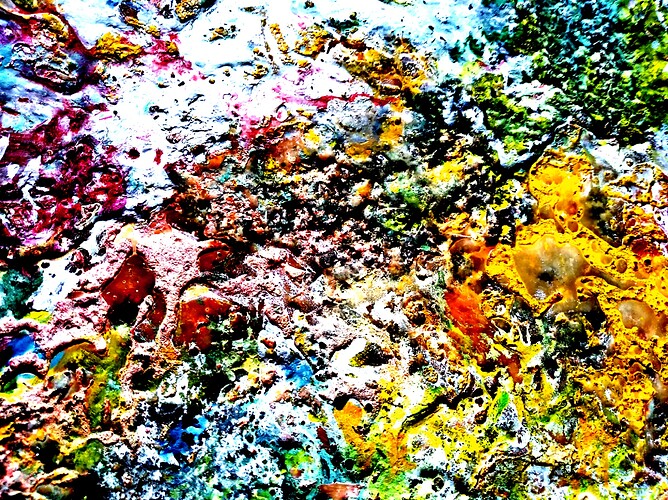 image3A12840_mirror6