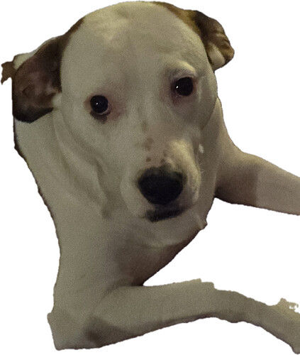 Nelly