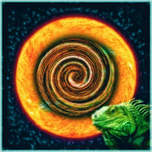 lizzard-wizzard