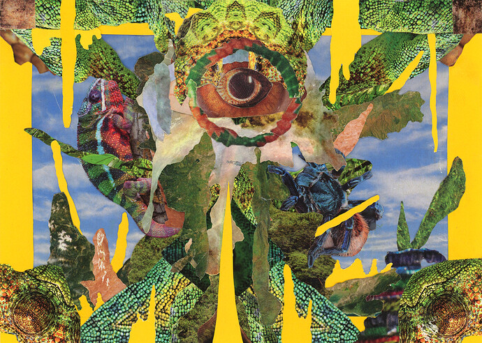 National%20Geographic%207%20x%205