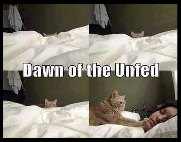 dawn