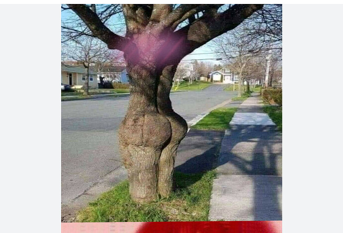 Screenshot_20260206-112401.Google~2