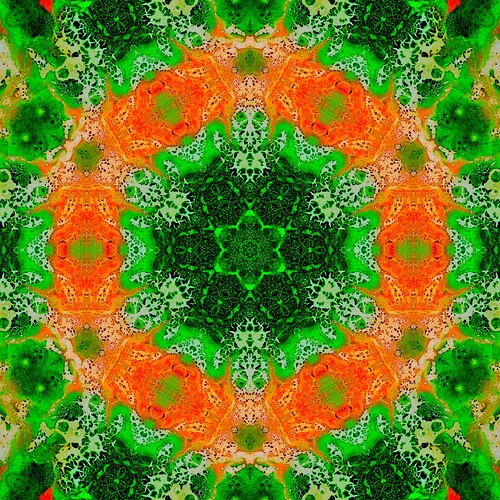 image3A12877_mirror6