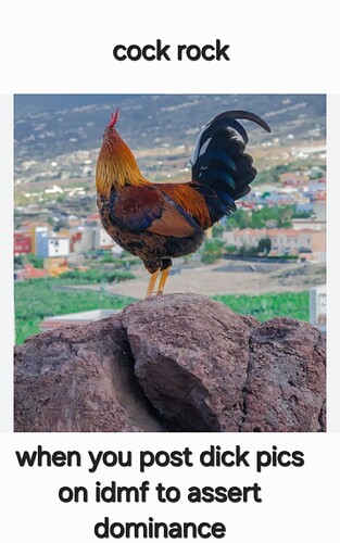 Screenshot_20250625_180546_Gallery