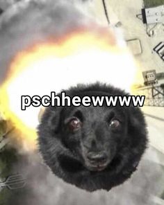 pscheeewww